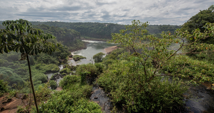 CATARATAS - RECESO DE INVIERNO -  MEDIA PENSION 