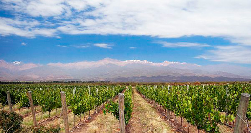 MENDOZA CON CACHEUTA - MEDIA PENSIÓN - SALIDAS EN JUNIO