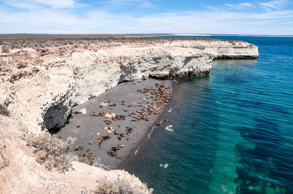 PUERTO MADRYN - CON DESAYUNO